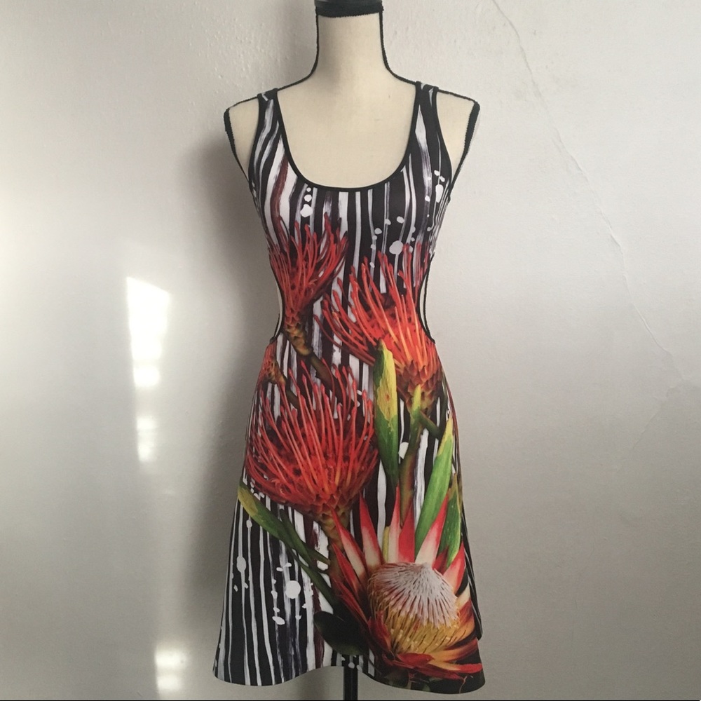Clover Canyon Cut-Out Scuba Dress